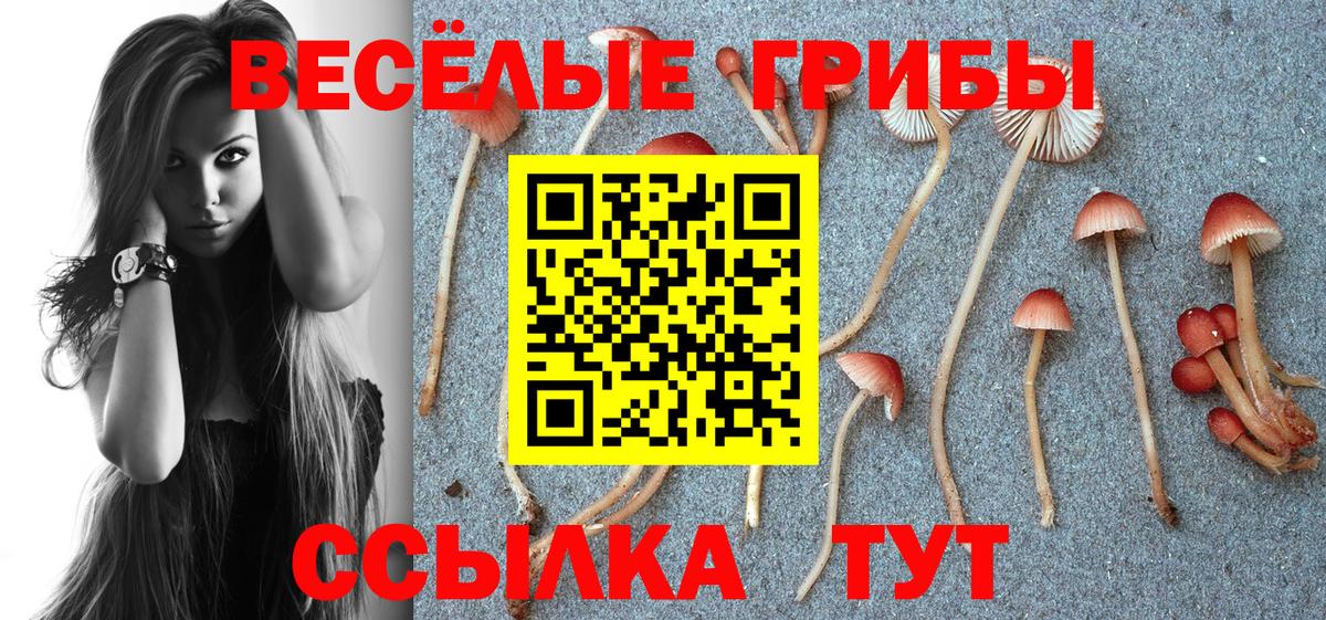 Псилоцибиновые грибы Magic Shrooms  Псилоцибиновые грибы Psilocybe  Вход с VPN  Лобня 