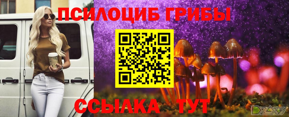 Псилоцибиновые грибы Psilocybe Лобня